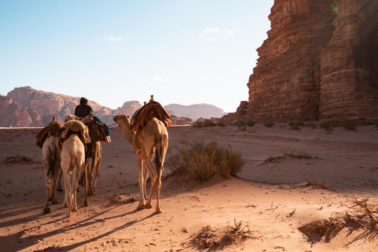 Hotel Stars Life Camp-Tour Wadi Rum Exterior foto